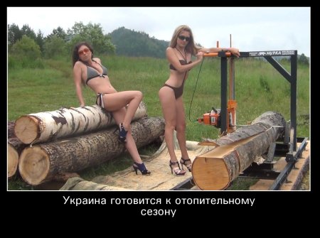 Пилорама из бензопилы