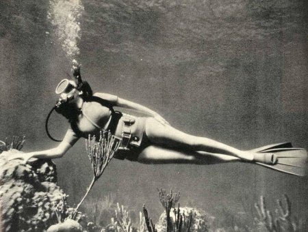 Японские ныряльщицы ама