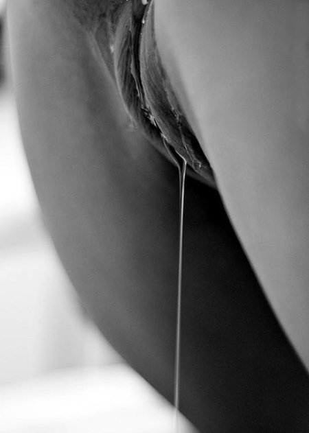 Женская конча крупным планом