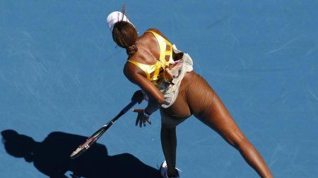 Винус уильямс