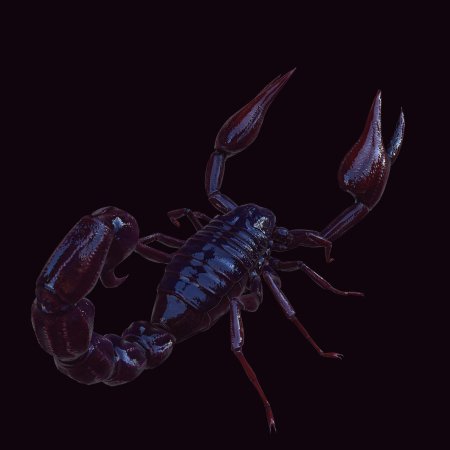 Скорпион императорский