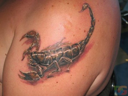 Скорпион тату реализм