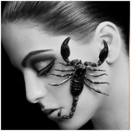 Фотосессия со скорпионом