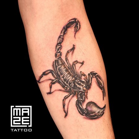 Скорпион тату