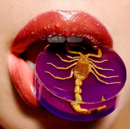 Скорпион на губах