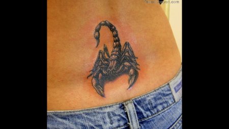 Тату скорпион