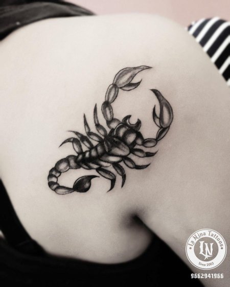 Тату скорпион для девушек эскизы
