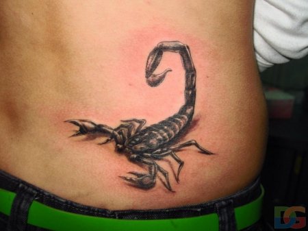 Тату скорпионс