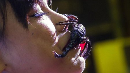 Девушка скорпион