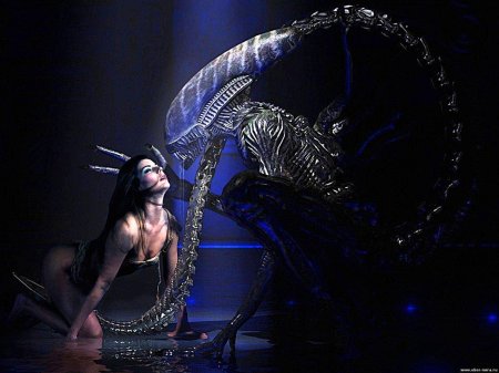 Девушка чужой