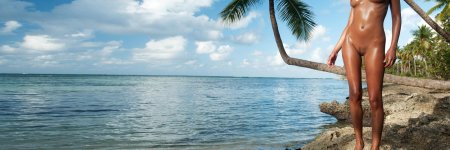 Море пляж пальма