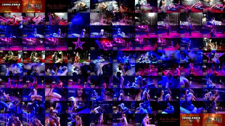 Мужской стриптиз