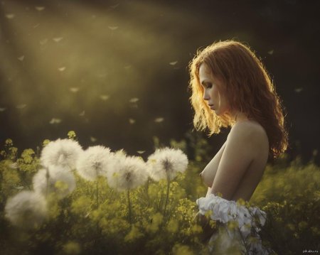 Фотограф давид дубницкий