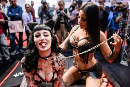 Эротический фестиваль венера