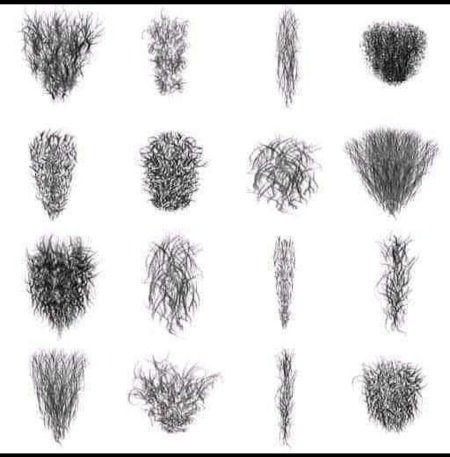 Лобковые волосы