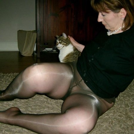 Кошка сибирская