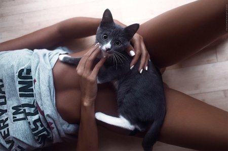 Тело котика