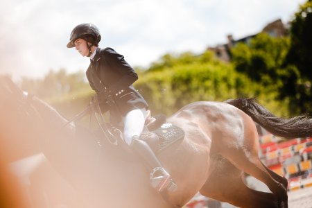 Выездка конный спорт