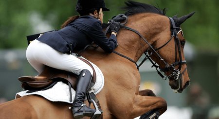 Конный спорт