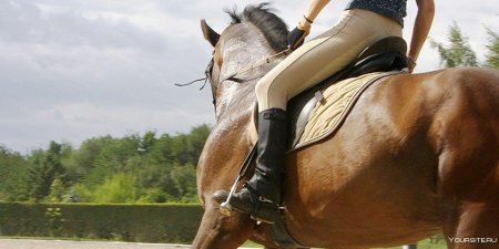 Девушка верхом на лошади