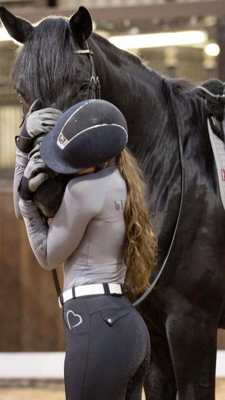 Эрин уильямс конный