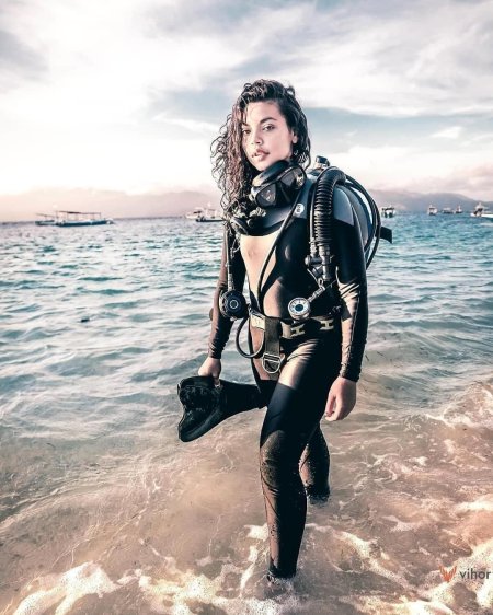 Дайверша барбара