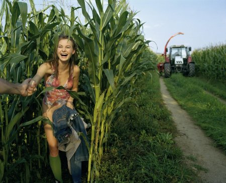 Голые девки в кукурузном поле