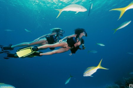 Девушка под водой с аквалангом