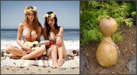 Луау — вечеринка по-гавайски