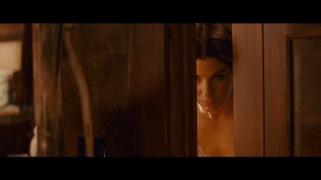 Голая сандра баллок (sandra bullock)