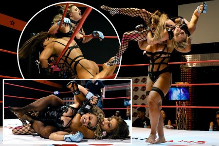 Lingerie fighting championships