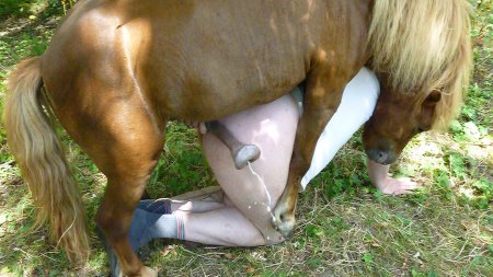 Порно с лошадей