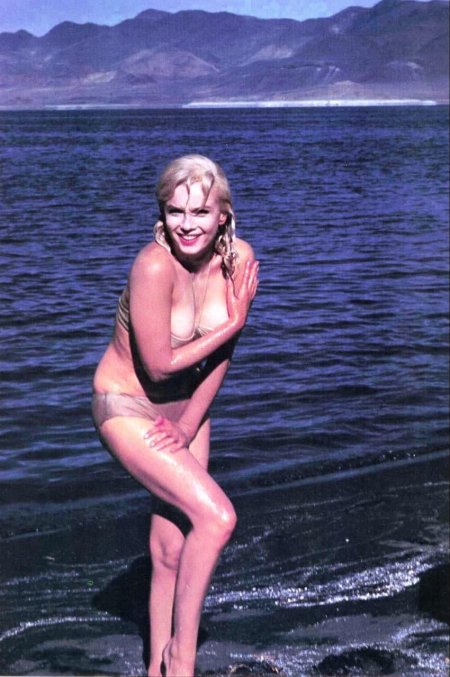 Мэрилин монро в купальнике