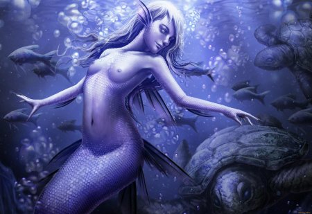 Подводный мир океана русалки эротика