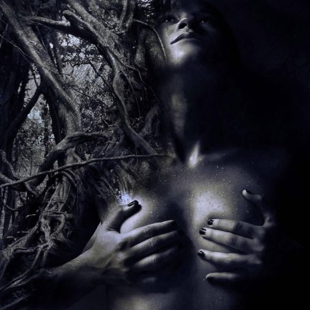 Мрачная сексуальность