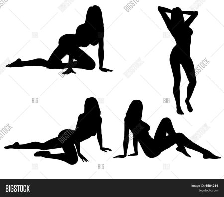 Силуэт сексуальной девушки