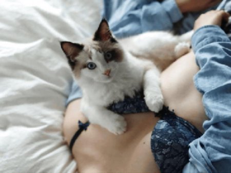 Девушка в лифчике с котом