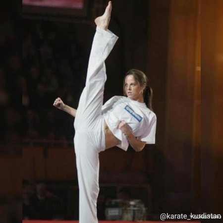 Карате спорт