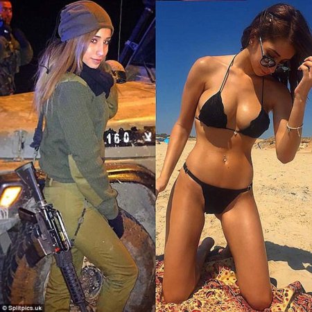 Даниэлла кертес цахал