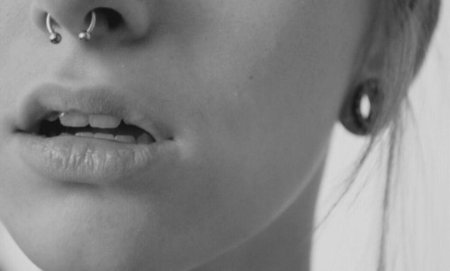 Септум циркуляр