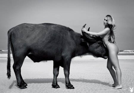 Бык и девушка