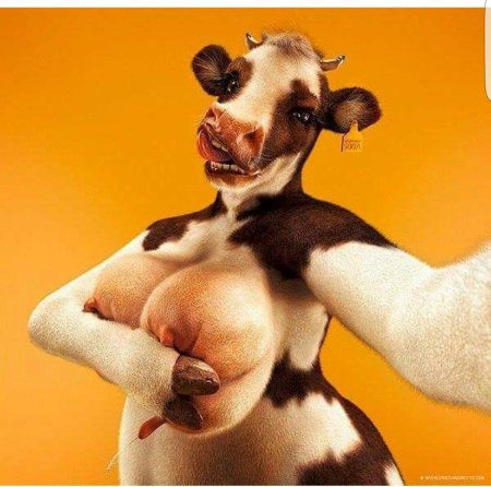 Корова с большими сиськами