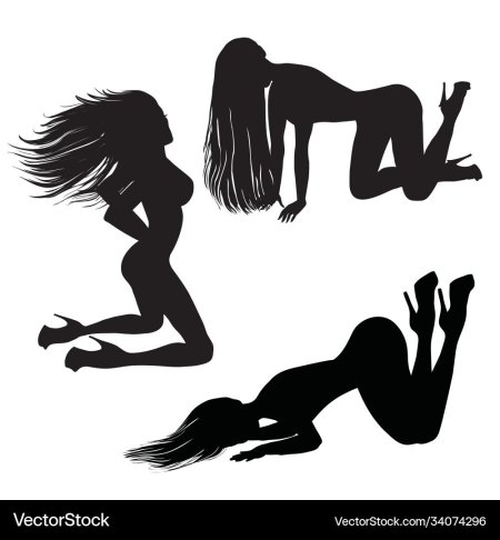 Эротичный женский силуэт