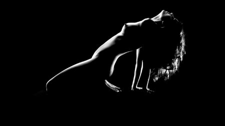 Силуэт девушек