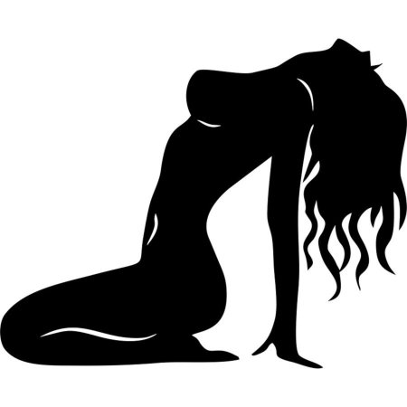 Девушки силуэт