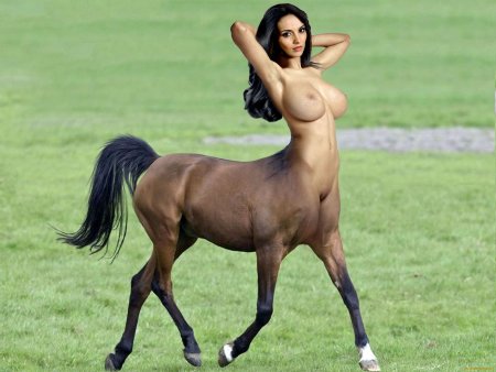 Женщина кентавр