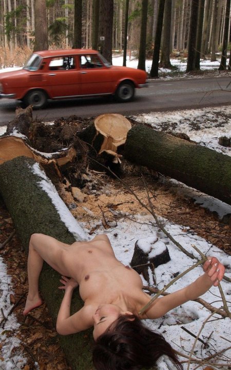 Модели шкода