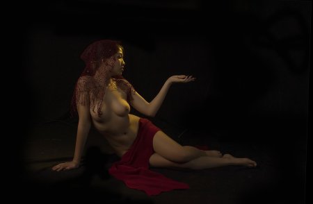 Художественная эротика