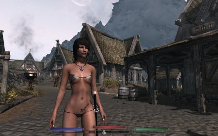 Скайрим с модами