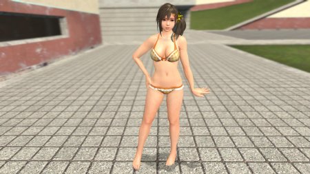 Dead or alive xtreme venus vacation